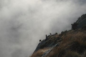 Palestre di roccia- Palestra Serre de Biel