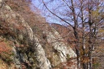 Strada militare della Serre de Biel